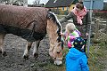 IMG_8907