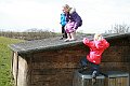IMG_8936