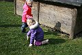 IMG_8940