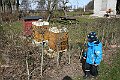 IMG_8966
