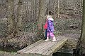 IMG_9005