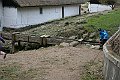 IMG_9023
