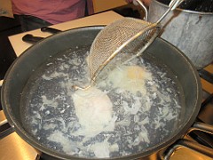 IMG_0447