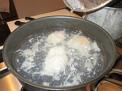 IMG_0448