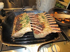 IMG_0462