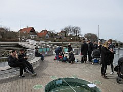 IMG_0500