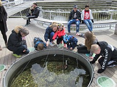 IMG_0506