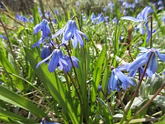 IMG_0516