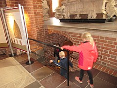 IMG_0528