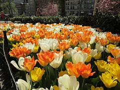 IMG_0579