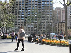 IMG_0580