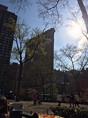 IMG_0587