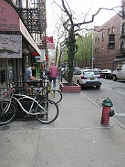 IMG_0606