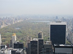 IMG_0728