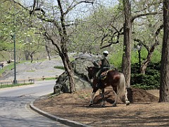 IMG_0751