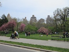 IMG_0779