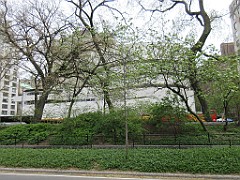 IMG_0781