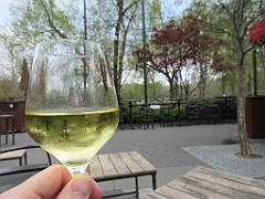 IMG_0805