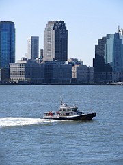 IMG_0981