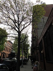 IMG_1020