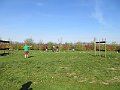 IMG_1133