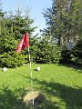 IMG_1137