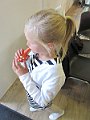 IMG_1550