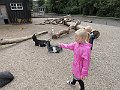 IMG_1650