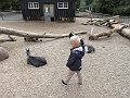 IMG_1651