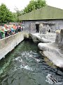 IMG_1653