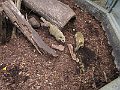 IMG_1683