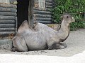 IMG_1685