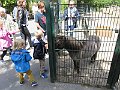 IMG_1686