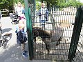 IMG_1687