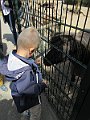 IMG_1689