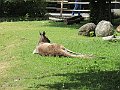 IMG_1690