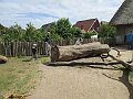 IMG_1696