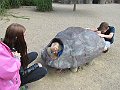 IMG_1705
