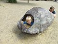 IMG_1707