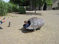 IMG_1711