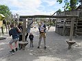 IMG_1726