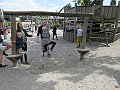 IMG_1729