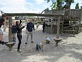 IMG_1730