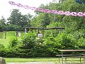 IMG_2714a