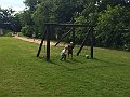 IMG_2754