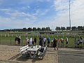 IMG_2794