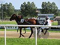 IMG_2816
