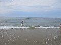 IMG_2872