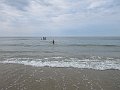 IMG_2915