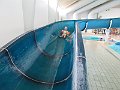 IMG_2935